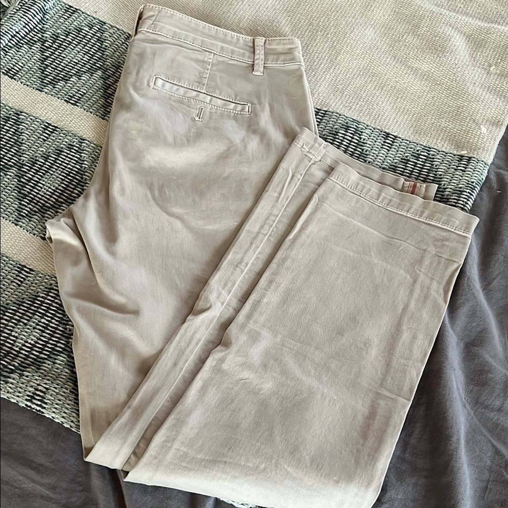 Anthropologie Chino